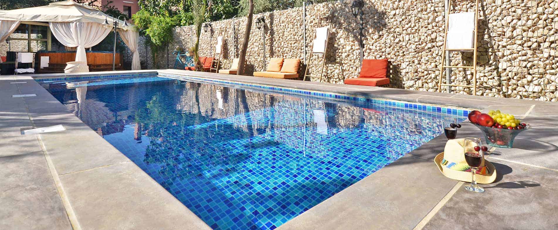 ���� ����� ���� ���� �������